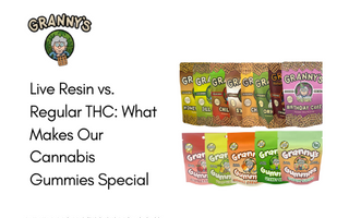 Live Resin vs. Regular THC: What Makes Our Cannabis Gummies Special