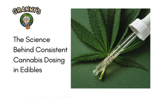 The Science Behind Consistent Cannabis Dosing in Edibles