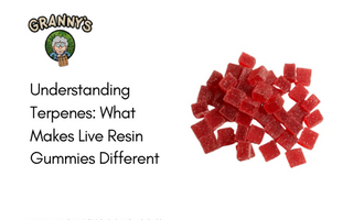 Understanding Terpenes: What Makes Live Resin Gummies Different