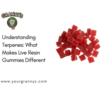 Understanding Terpenes: What Makes Live Resin Gummies Different