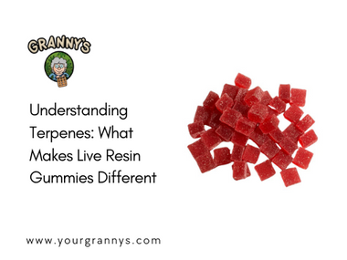 Understanding Terpenes: What Makes Live Resin Gummies Different