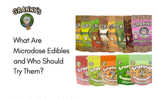 What Are Microdose Edibles and Who Should Try Them?