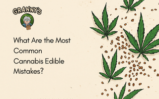 What Are the Most Common Cannabis Edible Mistakes?